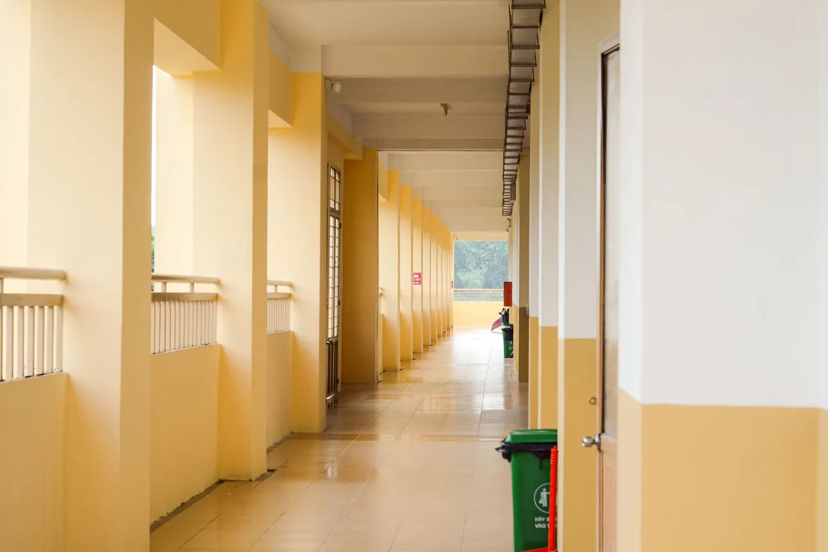 University campus, photo 2
